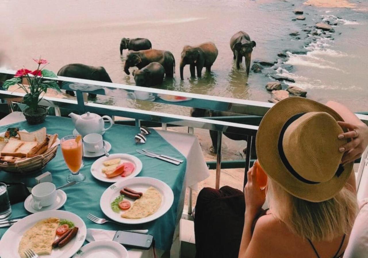 Hotel Elephant Park - New Deal! Half Off Airport Pickups Available Pinnawala  Eksteriør billede