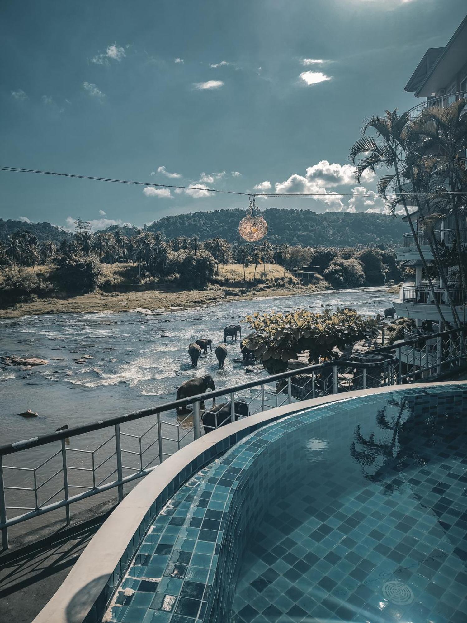 Hotel Elephant Park - New Deal! Half Off Airport Pickups Available Pinnawala  Eksteriør billede