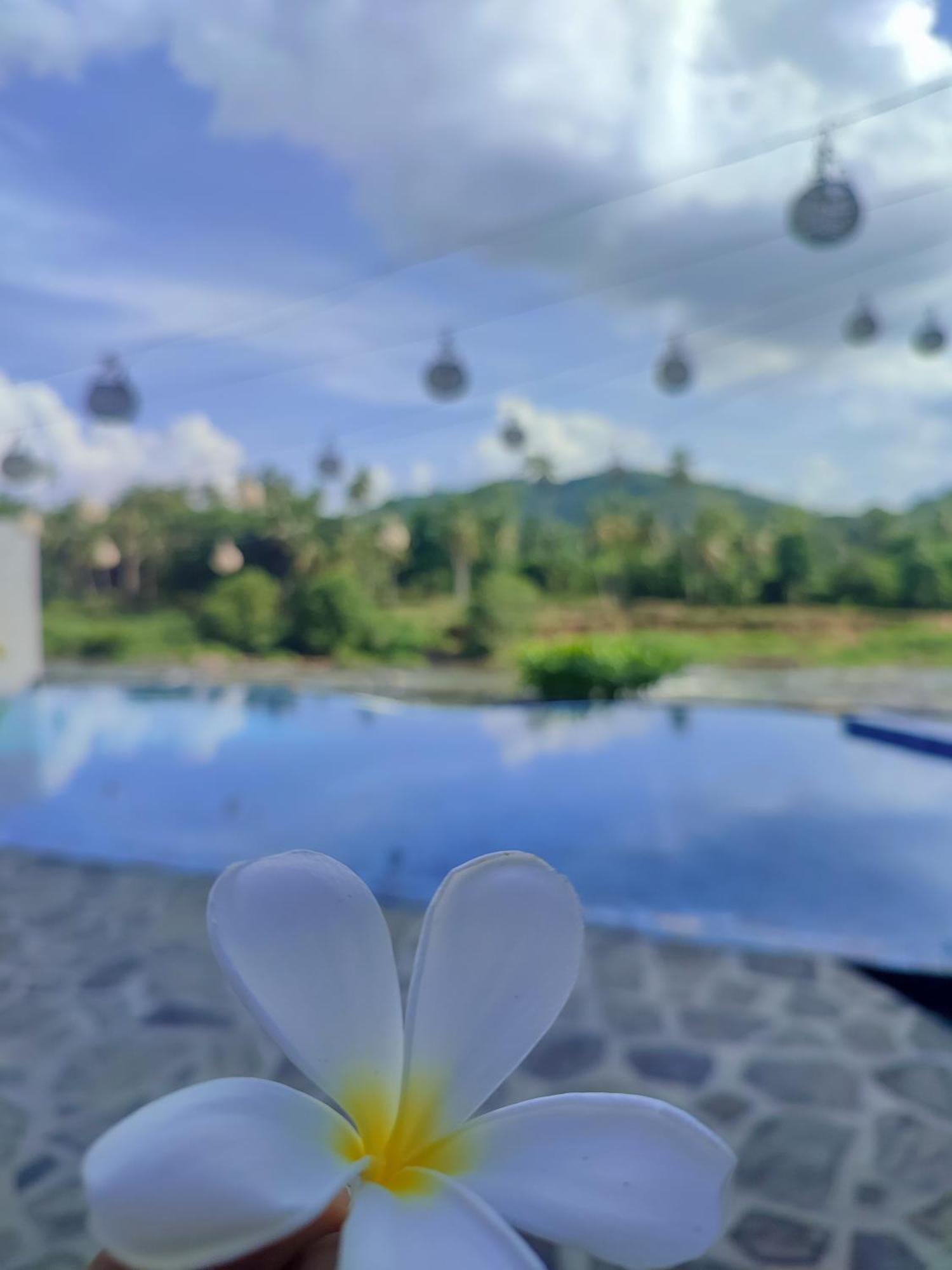 Hotel Elephant Park - New Deal! Half Off Airport Pickups Available Pinnawala  Eksteriør billede