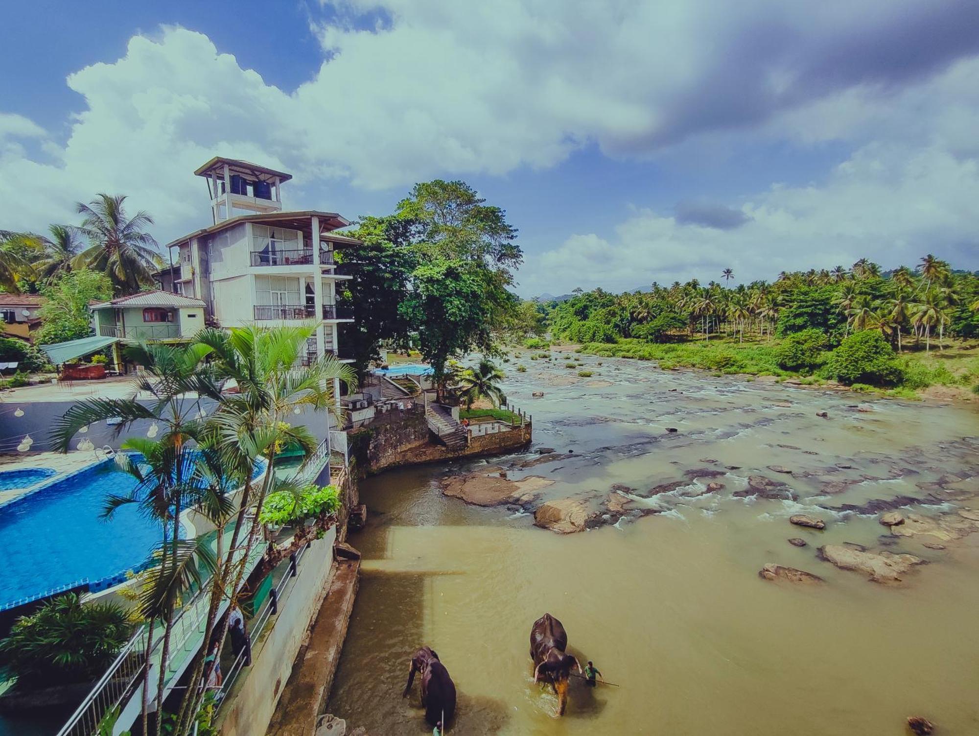 Hotel Elephant Park - New Deal! Half Off Airport Pickups Available Pinnawala  Eksteriør billede