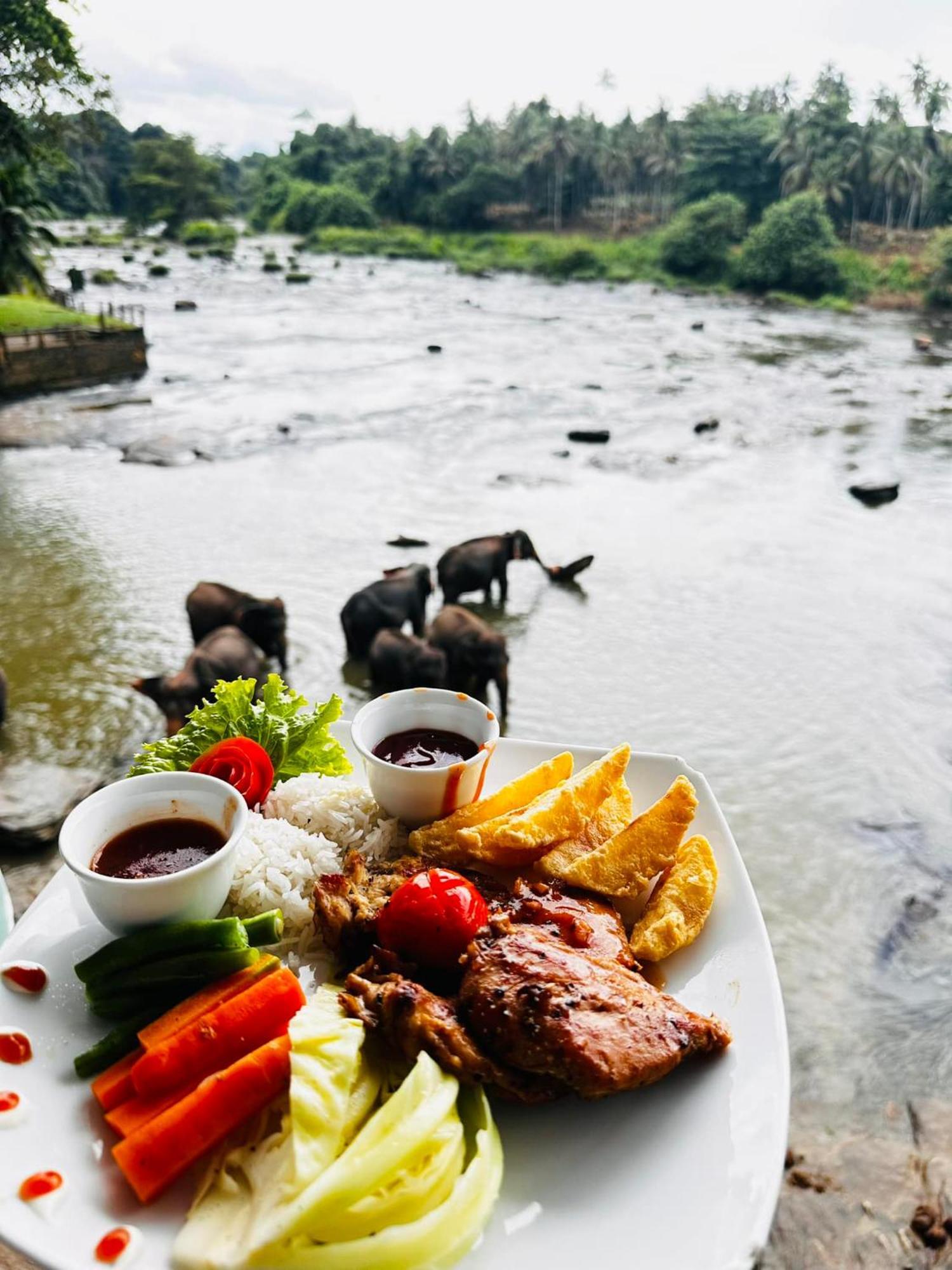 Hotel Elephant Park - New Deal! Half Off Airport Pickups Available Pinnawala  Eksteriør billede