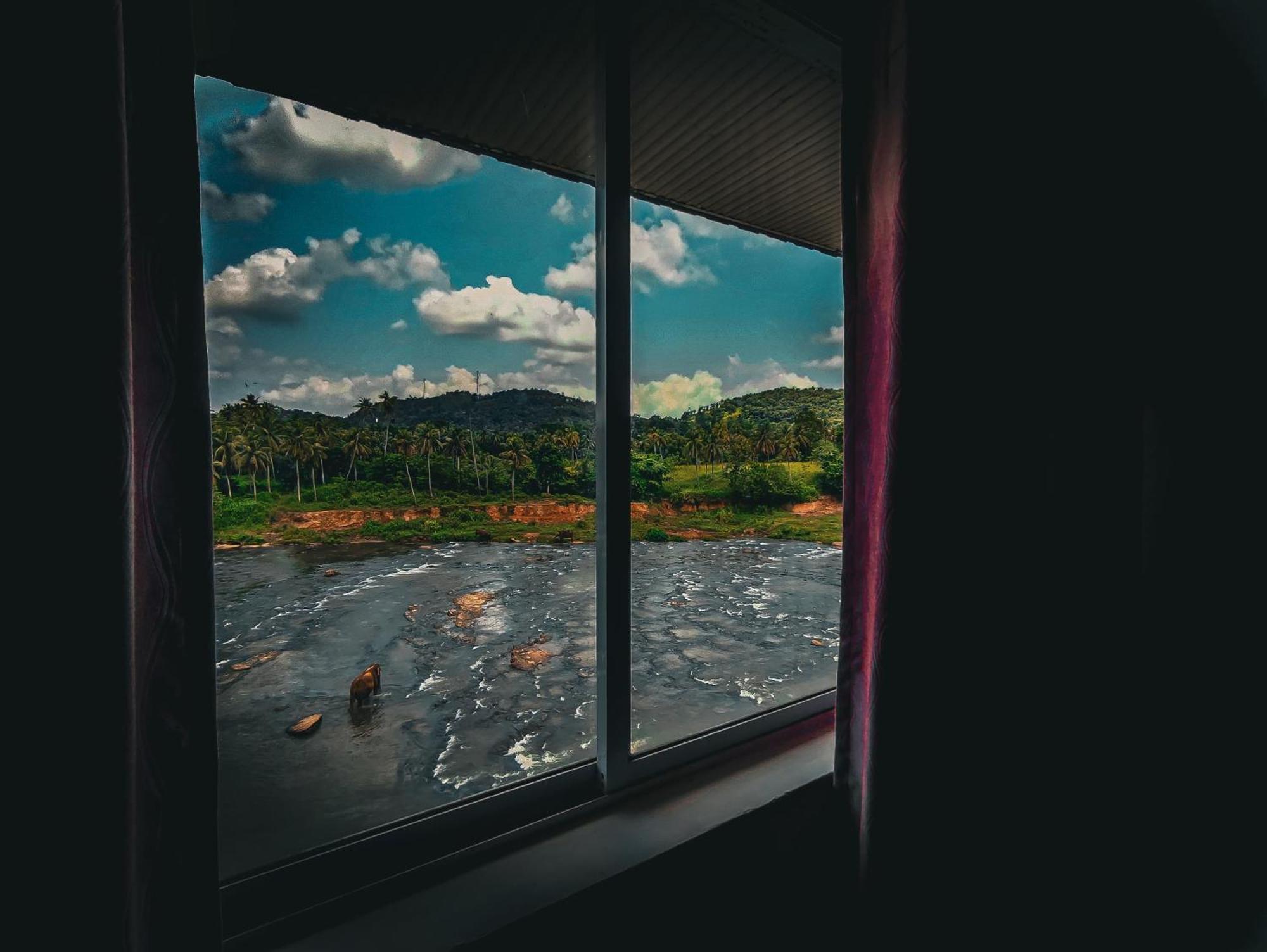 Hotel Elephant Park - New Deal! Half Off Airport Pickups Available Pinnawala  Eksteriør billede