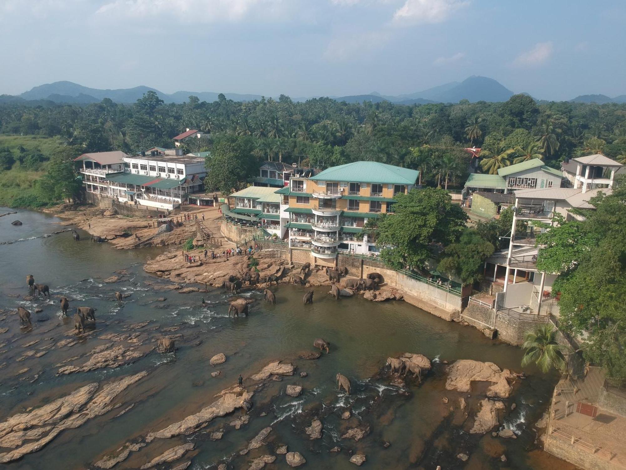 Hotel Elephant Park - New Deal! Half Off Airport Pickups Available Pinnawala  Eksteriør billede