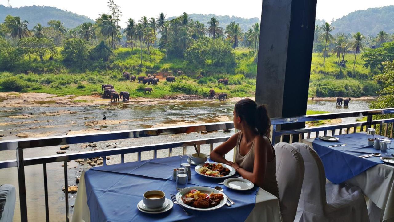 Hotel Elephant Park - New Deal! Half Off Airport Pickups Available Pinnawala  Eksteriør billede