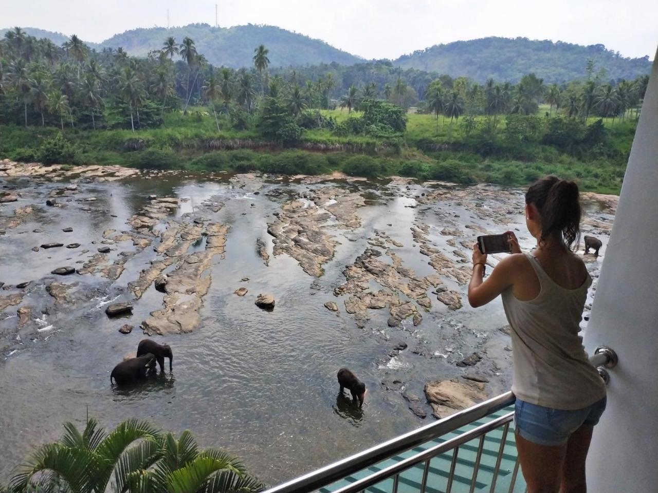 Hotel Elephant Park - New Deal! Half Off Airport Pickups Available Pinnawala  Eksteriør billede