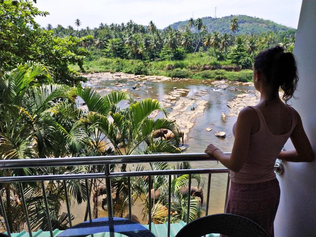 Hotel Elephant Park - New Deal! Half Off Airport Pickups Available Pinnawala  Eksteriør billede