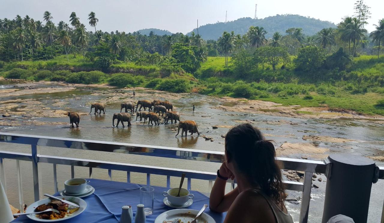 Hotel Elephant Park - New Deal! Half Off Airport Pickups Available Pinnawala  Eksteriør billede