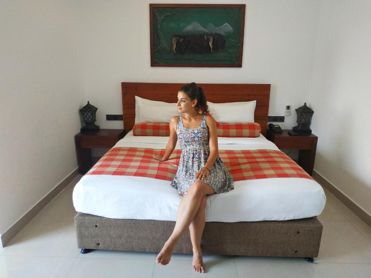 Hotel Elephant Park - New Deal! Half Off Airport Pickups Available Pinnawala  Eksteriør billede