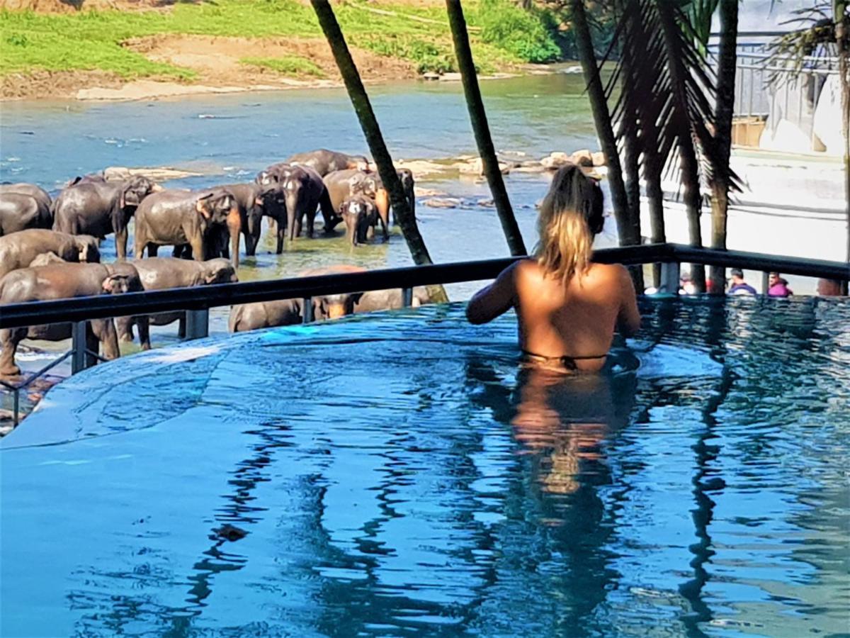 Hotel Elephant Park - New Deal! Half Off Airport Pickups Available Pinnawala  Eksteriør billede